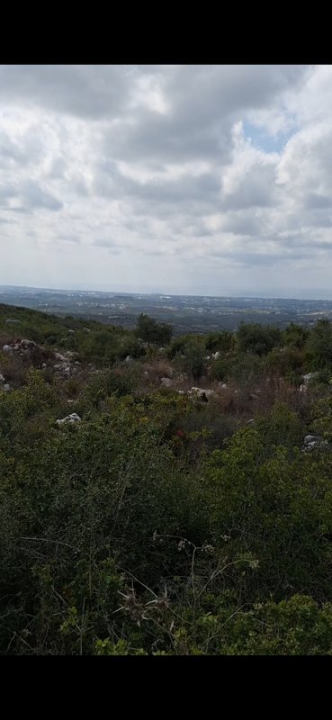 للبيع ارض عقارية في بيت الجبل