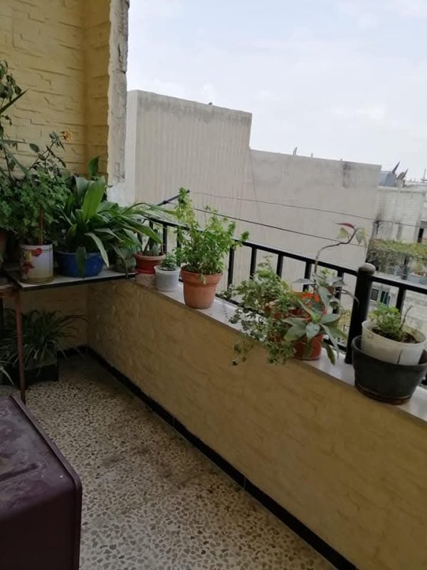 يوجد شقة للبيع